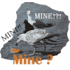 Mine Seagull