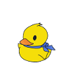 Duckling Dude - Yellow Ducks