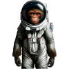 Space Astronaut Monkey