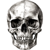 Pencil skull n°2
