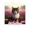 Katze im Blumenmeer