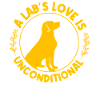 A Lab's Love is uncoditional