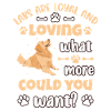 Labrador
