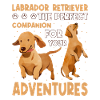 Labrador