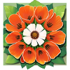 Beautiful poppy bouquet