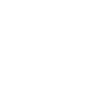 Tulips Tulips