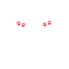 Poodle Gifts