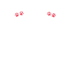 Poodle Gifts