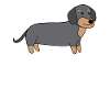 Dackel Dachshund Teckel