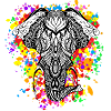 Elephant rainbow