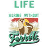 Ferret Lover Ferret Gift