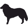 Collie Silhouette