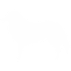 Collie Silhouette