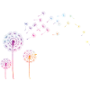 Pusteblume Farb Splash