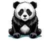 Cute panda