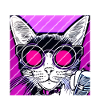 Let's Rock - Cat