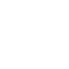 Team Venice