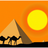 camels in the sun