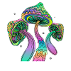 Psychedelic Fungi Festival EDM Music