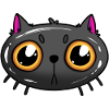 Chat mignon