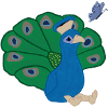 peacock