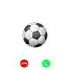 L'appelle du foot