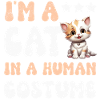 Chats