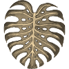 Monstera