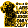 Labs never judge only accept