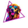Labrador Retriever With Sunglasses