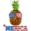 July 4th Pineapple America