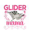 Short-headed glider Sugar Glider