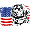 Leonberger America Flag Dogs Wilsigns