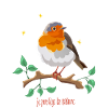 rouge- gorge