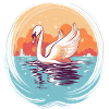 Beautiful swan