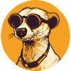 Meerkat with sunglasses, Suricate