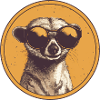 Meerkat with sunglasses, Suricate