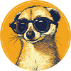Meerkat with sunglasses, Suricate