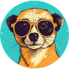 Meerkat with sunglasses, Suricate