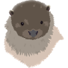 Otterly Impressed