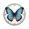 Blue Morpho Butterfly
