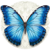Morpho Papillon Bleu