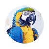 Ara bleu-or