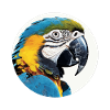 Blue and gold macaw