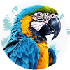 Blue and gold macaw