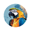 Blue and gold macaw