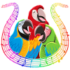 Song of the Macaws 2