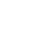 Jahr 1981