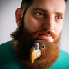AI Arts Parrot Beard