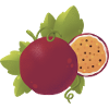 Passion Fruit (passion fruit)